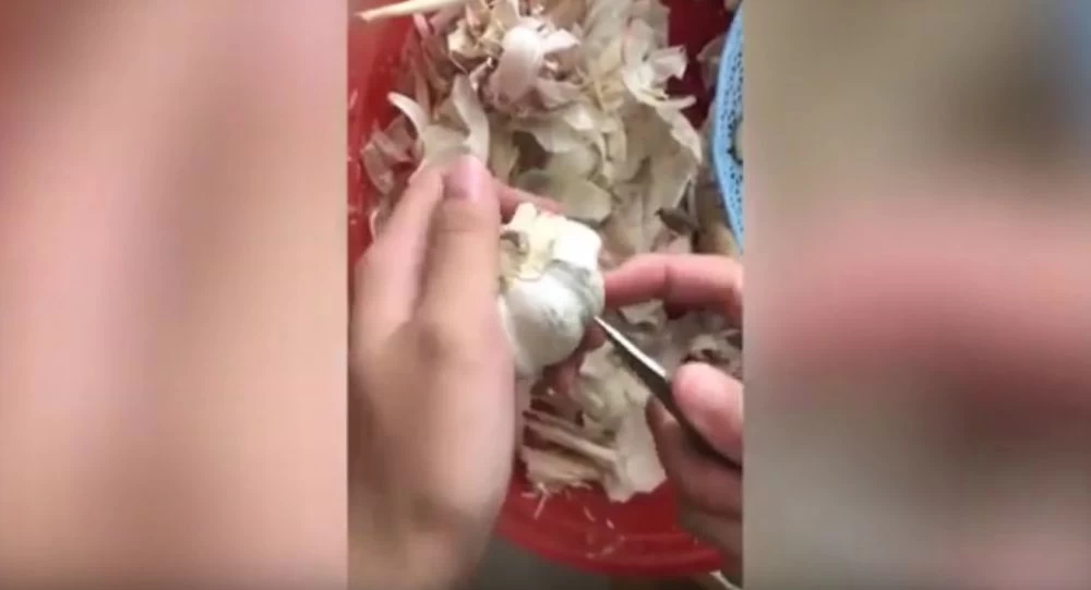 Κάντε τη ζωή σας ευκολότερη – Η μέθοδος για να καθαρίζετε σκόρδα χωρίς να χάνετε χρόνο (βίντεο)